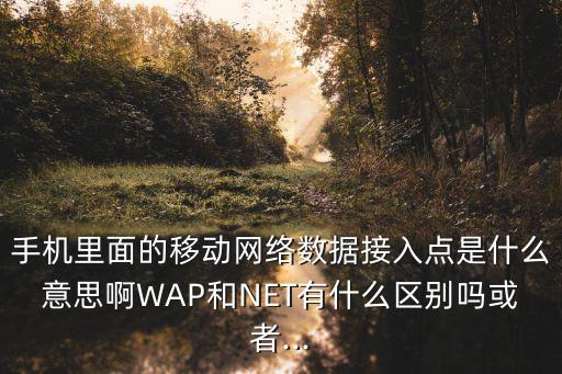 手機里面的移動網(wǎng)絡(luò)數(shù)據(jù)接入點是什么意思啊WAP和NET有什么區(qū)別嗎或者...