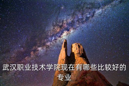 武漢職業(yè)技術(shù)學(xué)院現(xiàn)在有哪些比較好的專業(yè)