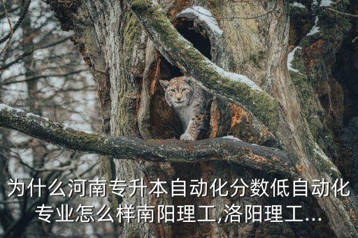 為什么河南專升本自動(dòng)化分?jǐn)?shù)低自動(dòng)化專業(yè)怎么樣南陽(yáng)理工,洛陽(yáng)理工...