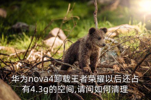華為nova4卸載王者榮耀以后還占有4.3g的空間,請問如何清理
