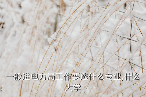 一般進(jìn)電力局工作要選什么專業(yè),什么大學(xué)