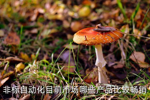 非標(biāo)自動(dòng)化目前市場(chǎng)哪些產(chǎn)品比較暢銷
