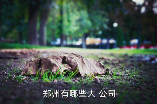  鄭州有哪些大 公司