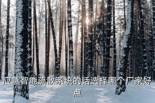 應(yīng)急智能疏散系統(tǒng)的話(huà)選擇哪個(gè)廠家好點(diǎn)