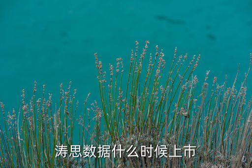 濤思數(shù)據(jù)什么時(shí)候上市
