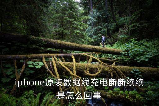 iphone數(shù)據(jù)線不穩(wěn),數(shù)據(jù)線容易壞怎么辦?