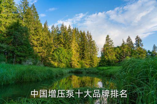 中國(guó)增壓泵十大品牌排名