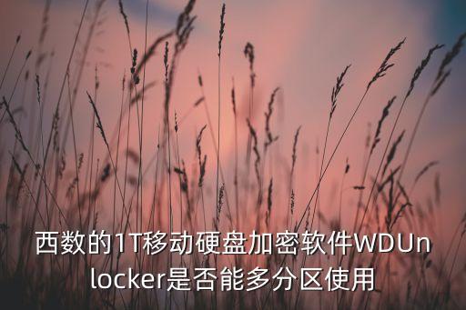 西部數(shù)據(jù)有哪些軟件,求西數(shù)數(shù)據(jù)自帶加密軟件!可下載一下