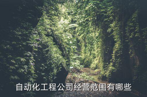 自動(dòng)化工程公司經(jīng)營(yíng)范圍有哪些