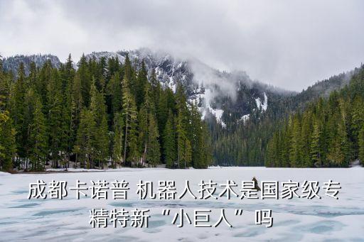 成都機器人表演,成都做機器人比較好的公司