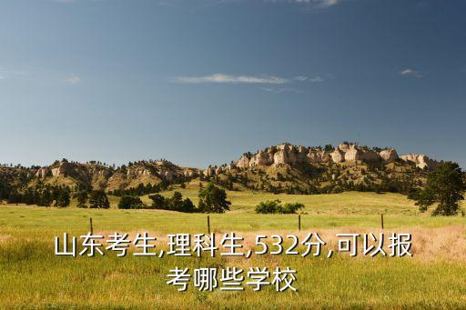 山東考生,理科生,532分,可以報(bào)考哪些學(xué)校
