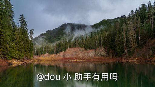@dou 小 助手有用嗎