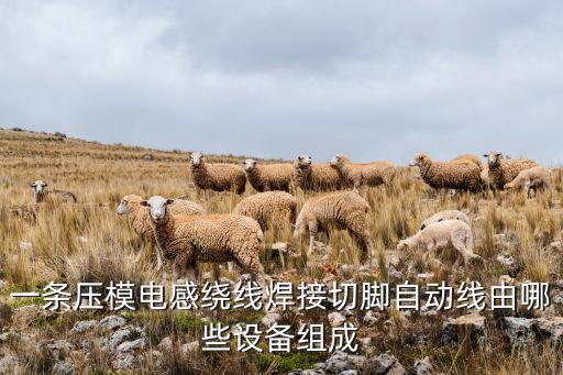 一條壓模電感繞線焊接切腳自動線由哪些設(shè)備組成