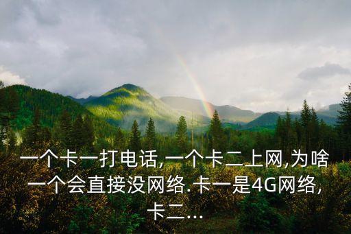 一個(gè)卡一打電話(huà),一個(gè)卡二上網(wǎng),為啥一個(gè)會(huì)直接沒(méi)網(wǎng)絡(luò).卡一是4G網(wǎng)絡(luò),卡二...