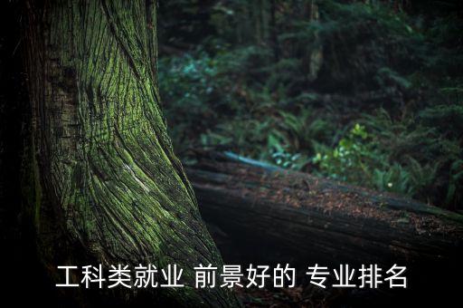 工科類就業(yè) 前景好的 專業(yè)排名