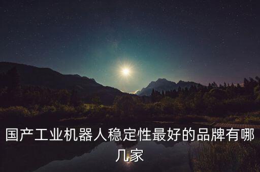 國產(chǎn)工業(yè)機器人穩(wěn)定性最好的品牌有哪幾家