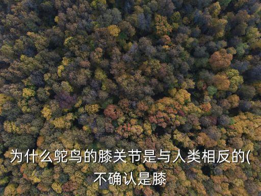 為什么鴕鳥的膝關(guān)節(jié)是與人類相反的(不確認是膝