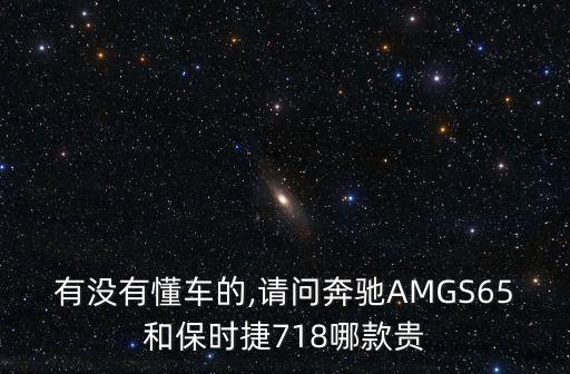s65,本地車型之爭(zhēng)的始末