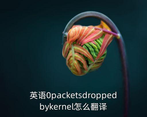 數(shù)據(jù)包 英語(yǔ),包括電腦部件英文單詞丟棄0個(gè)數(shù)據(jù)包