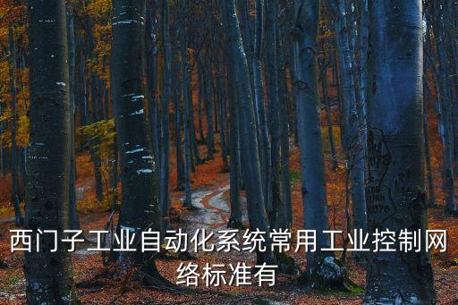 西門子工業(yè)自動化系統(tǒng)常用工業(yè)控制網(wǎng)絡(luò)標準有