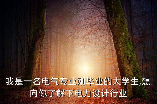 我是一名電氣專業(yè)剛畢業(yè)的大學(xué)生,想向你了解下電力設(shè)計行業(yè)