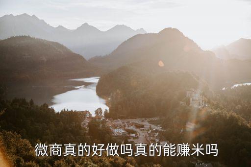 2012年微商數(shù)據(jù),微商數(shù)據(jù)什么意思