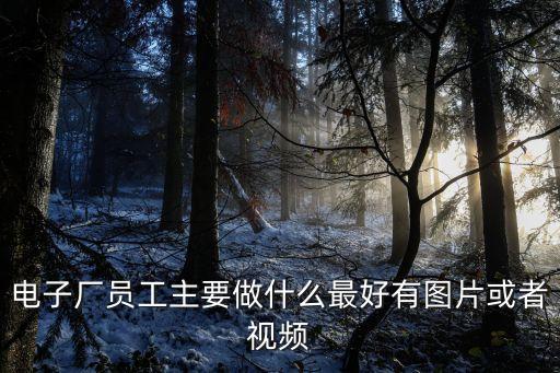 電子廠(chǎng)員工主要做什么最好有圖片或者視頻