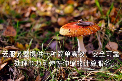 云服務(wù)器提供一種簡單高效、安全可靠、處理能力可彈性伸縮的計算服務(wù)...