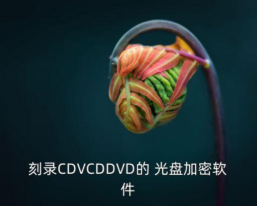 刻錄CDVCDDVD的 光盤加密軟件