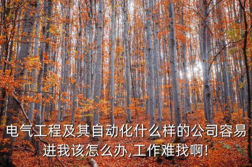 電氣工程及其自動化什么樣的公司容易進(jìn)我該怎么辦,工作難找啊!