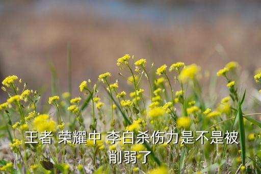 王者榮耀李白的數(shù)據(jù).