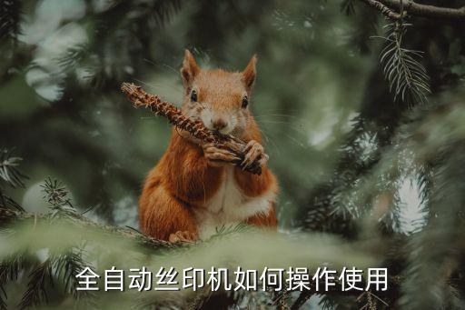 全自動(dòng)絲印機(jī)如何操作使用