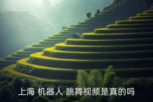 上海 機(jī)器人 跳舞視頻是真的嗎