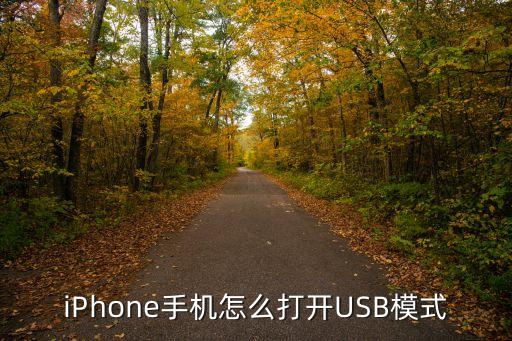 ios數(shù)據(jù)線轉(zhuǎn)usb,蘋果usb轉(zhuǎn)閃電連接線怎么用?