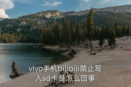 vivo手機(jī)bilibili禁止寫(xiě)入sd卡是怎么回事