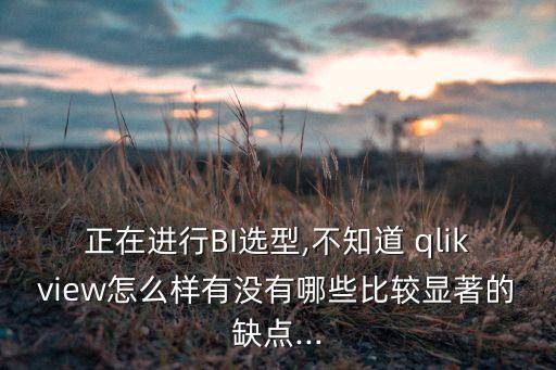 正在進(jìn)行BI選型,不知道 qlikview怎么樣有沒有哪些比較顯著的缺點(diǎn)...