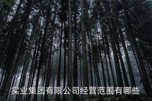 實(shí)業(yè)集團(tuán)有限公司經(jīng)營(yíng)范圍有哪些
