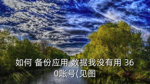如何 備份應用 數據我沒有用 360賬號(見圖