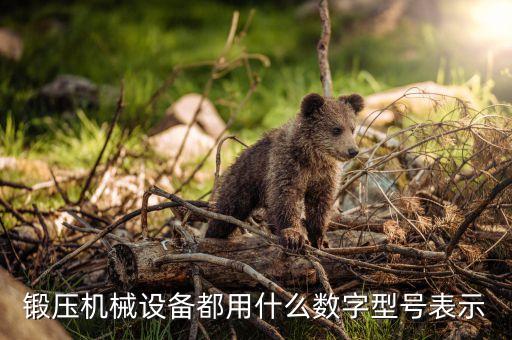 鍛壓機械設(shè)備都用什么數(shù)字型號表示