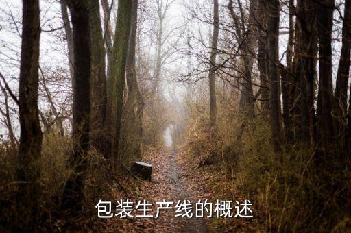 包裝流水線,包裝工廠流水線怎么樣?