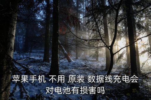 蘋果手機(jī) 不用 原裝 數(shù)據(jù)線充電會對電池有損害嗎