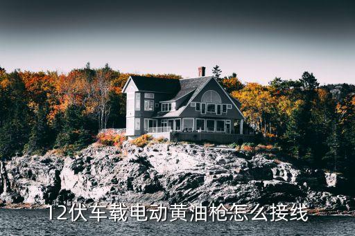 自動化點黃油設(shè)備,轉(zhuǎn)動設(shè)備加黃油的防范措施有哪些?