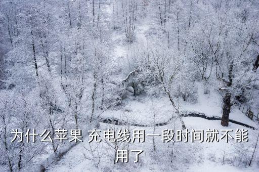 為什么蘋果 充電線用一段時(shí)間就不能用了