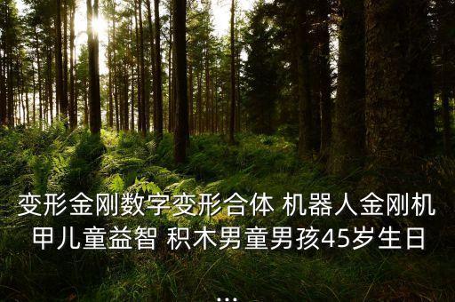 變形金剛數(shù)字變形合體 機器人金剛機甲兒童益智 積木男童男孩45歲生日...