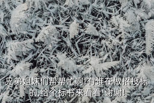 兄弟姐妹們幫幫忙啊!有誰在做招投標的,給個標書來看看!謝謝!