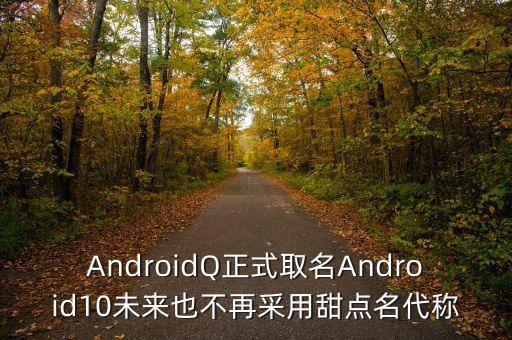 AndroidQ正式取名Android10未來也不再采用甜點(diǎn)名代稱