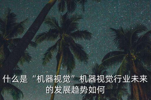 什么是“機器視覺”機器視覺行業(yè)未來的發(fā)展趨勢如何