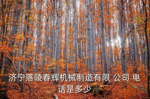 濟(jì)寧落陵春輝機(jī)械制造有限 公司 電話是多少