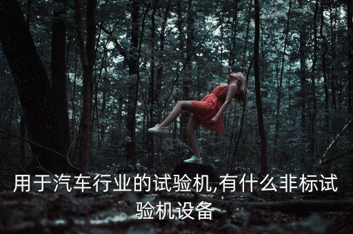 用于汽車行業(yè)的試驗(yàn)機(jī),有什么非標(biāo)試驗(yàn)機(jī)設(shè)備
