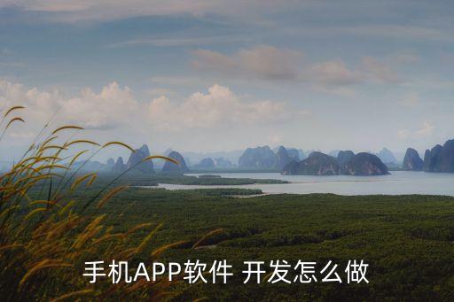 app開(kāi)發(fā)打包自動(dòng)化設(shè)備